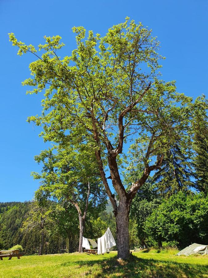 Nest Lodge Weissbriach Zewnętrze zdjęcie