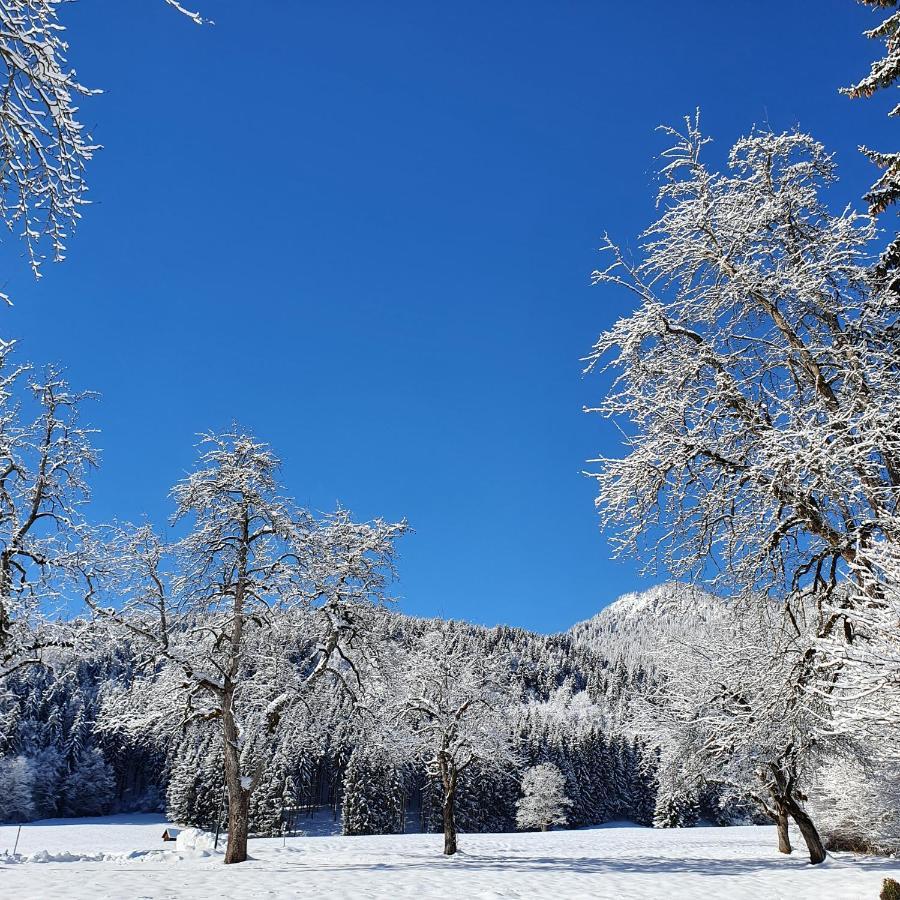 Nest Lodge Weissbriach Zewnętrze zdjęcie